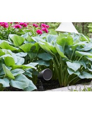 Martin Logan SAT60 coppia diffusori weather proof a 2 vie Potenza 20-160W