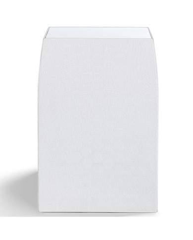 Diffusore wireless sospensione pneumatica Martin Logan Bravado bianco