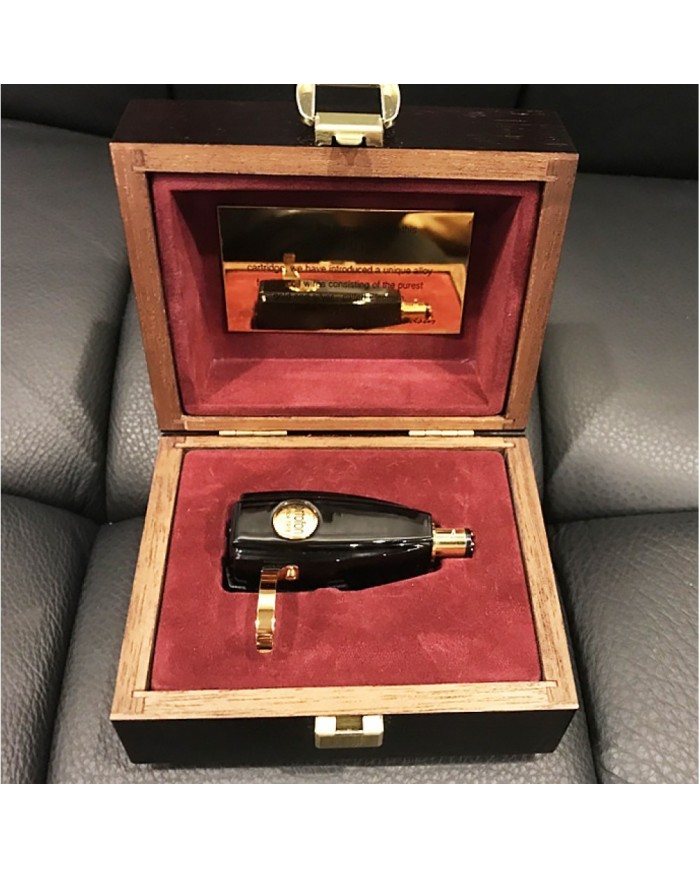 Testina con stilonude Ortofon replicant 100 Ortofon SPU Royal G MK II