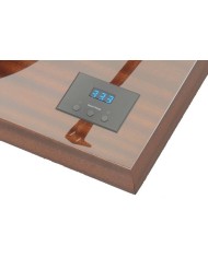 PRO-JECT X-TENSION 10 EVOLUTION MOGANO COMPLETO