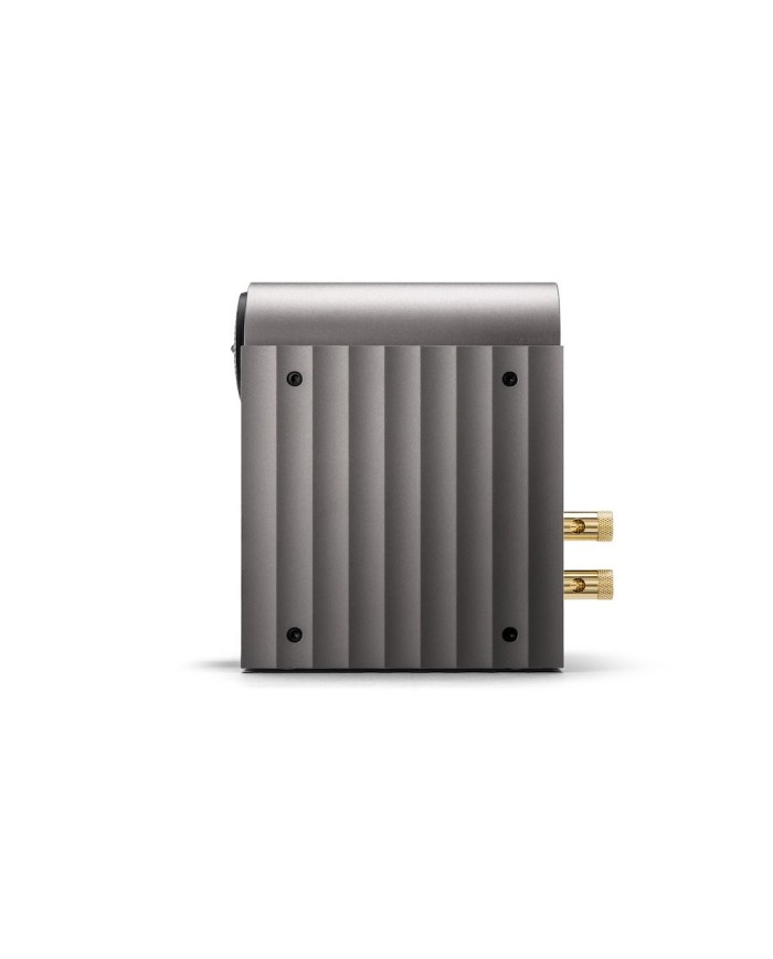 Sistema diffusori 2 vie bass reflex Astell&Kern ACRO S1000  gun metal