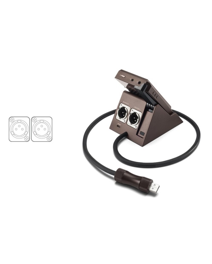 Base ricarica e trasferimento dati per DAP AK300 A&K DOCK PEM13