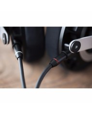 Cuffia on-ear con tecnologia AFDS aperta  Final Audio D8000  silver