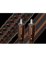 Cavo di segnale audio analogico  Audioquest Mackenzie RCA-RCA