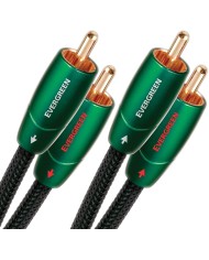 Cavo di segnale audio analogico RCA-RCA  Audioquest Evergreen