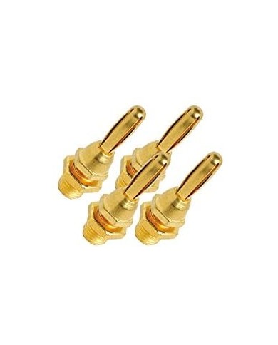 Set di 4 adattatori a banana  Audioquest jack 1002/g Banan Gold