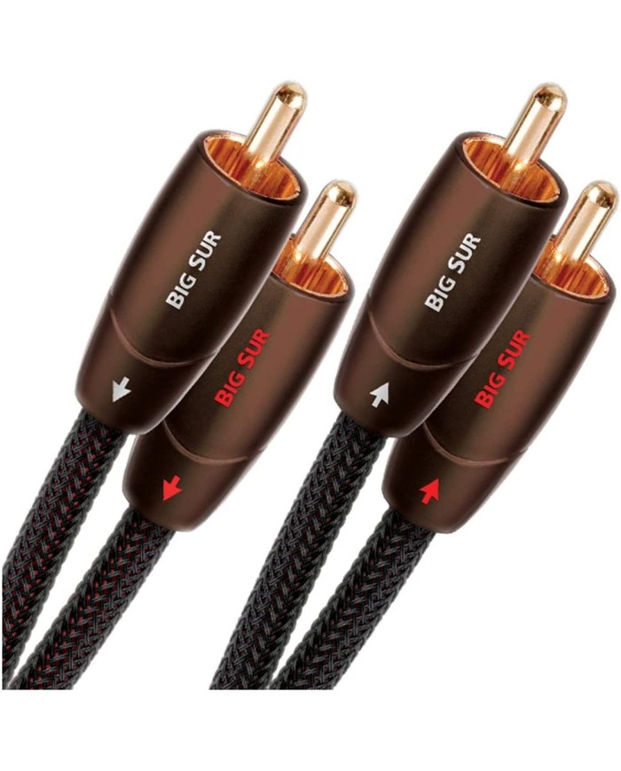 Cavo di segnale analogico  Audioquest Big Sur RCA-RCA