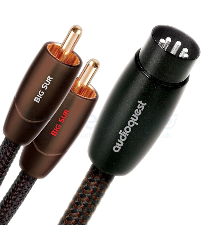 Cavo di segnale analogico  Audioquest Big Sur 5 Pin DIN a 2 RCA