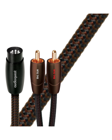 Cavo di segnale analogico  Audioquest Big Sur 5 Pin DIN a 2 RCA