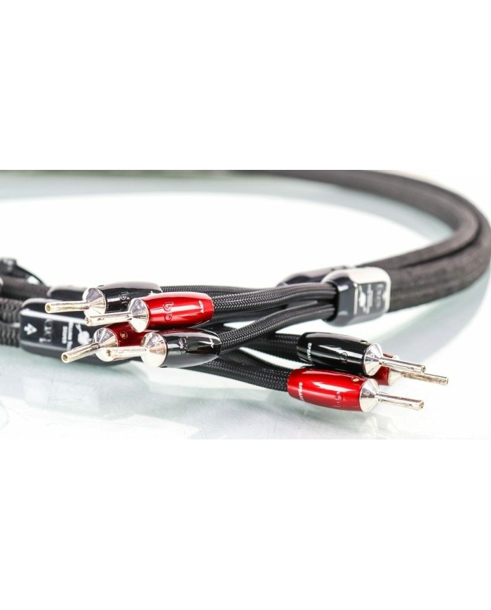 Cavo di potenza  Audioquest William Tell Silver Zero  DBS 72v Carbon