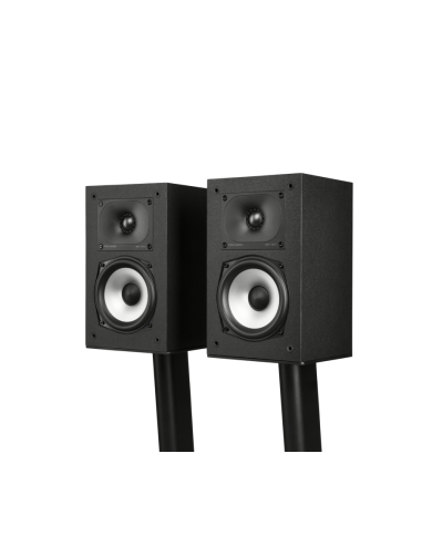 CASSE POLK AUDIO MXT15