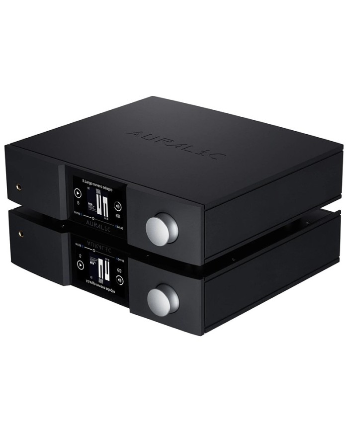 Streamer di rete con DAC interno  Auralic Altair G1