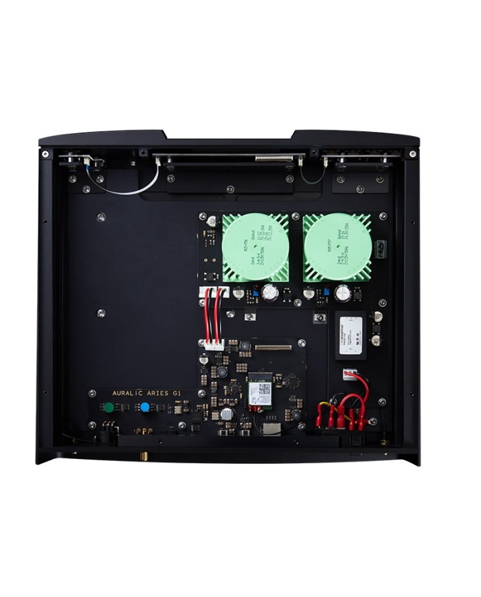 Streamer di rete senza DAC  Auralic Aries G1