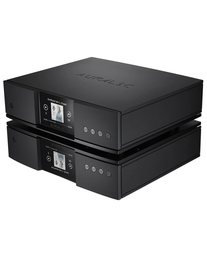 Streamer di rete senza DAC  Auralic Aries G2.2 auralic aries 2.2