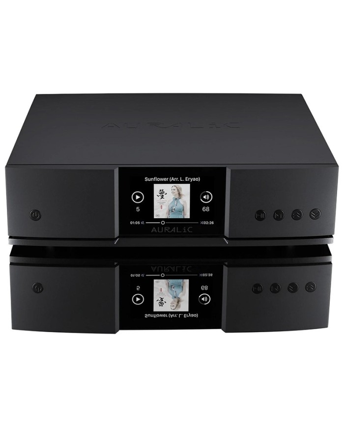 Streamer di rete senza DAC  Auralic Aries G2.2 auralic aries 2.2