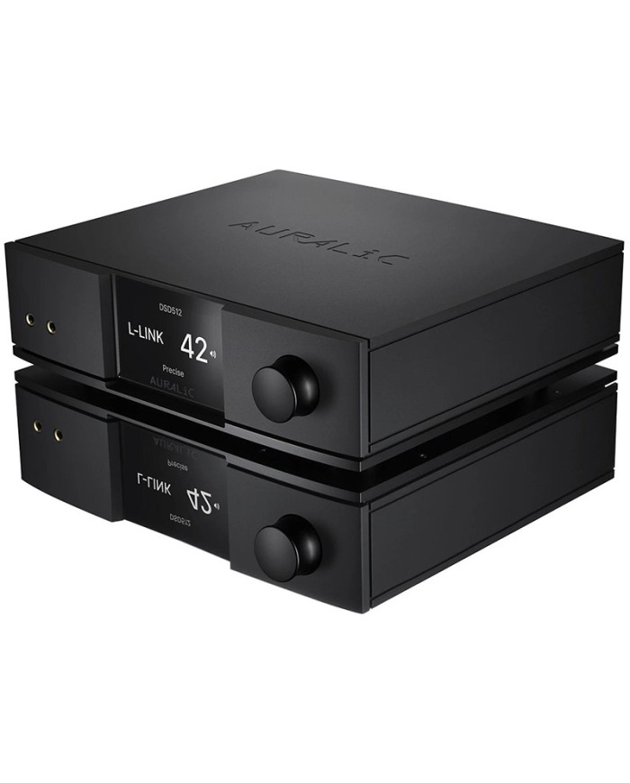 Streamer di rete con DAC interno  Auralic Vega G2.2