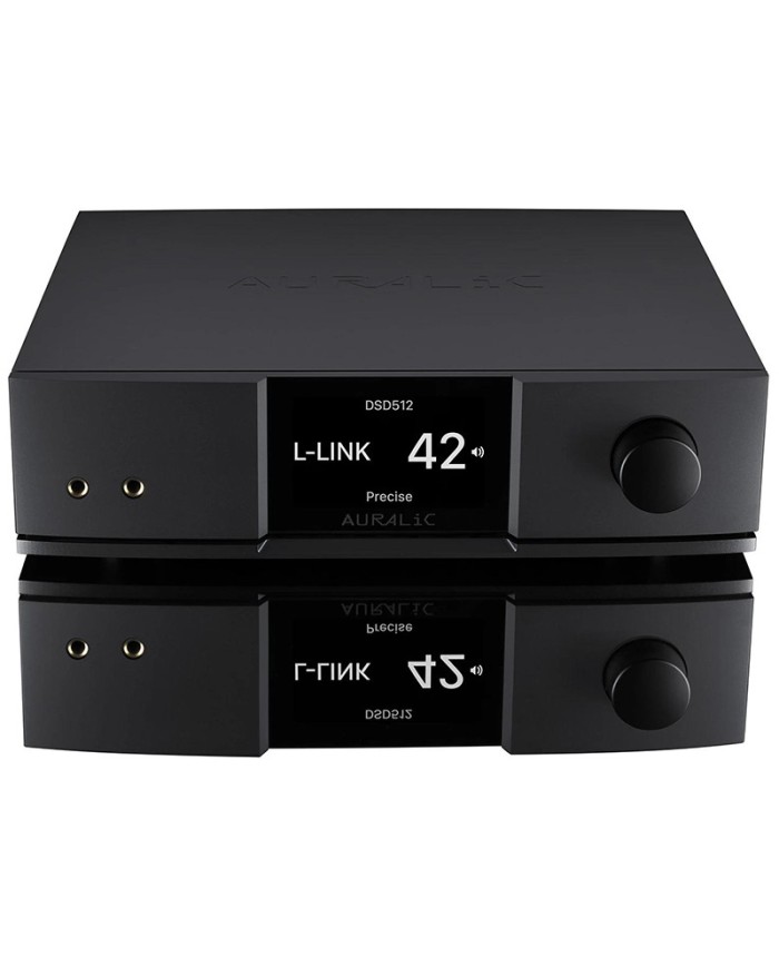 Streamer di rete con DAC interno  Auralic Vega G2.2