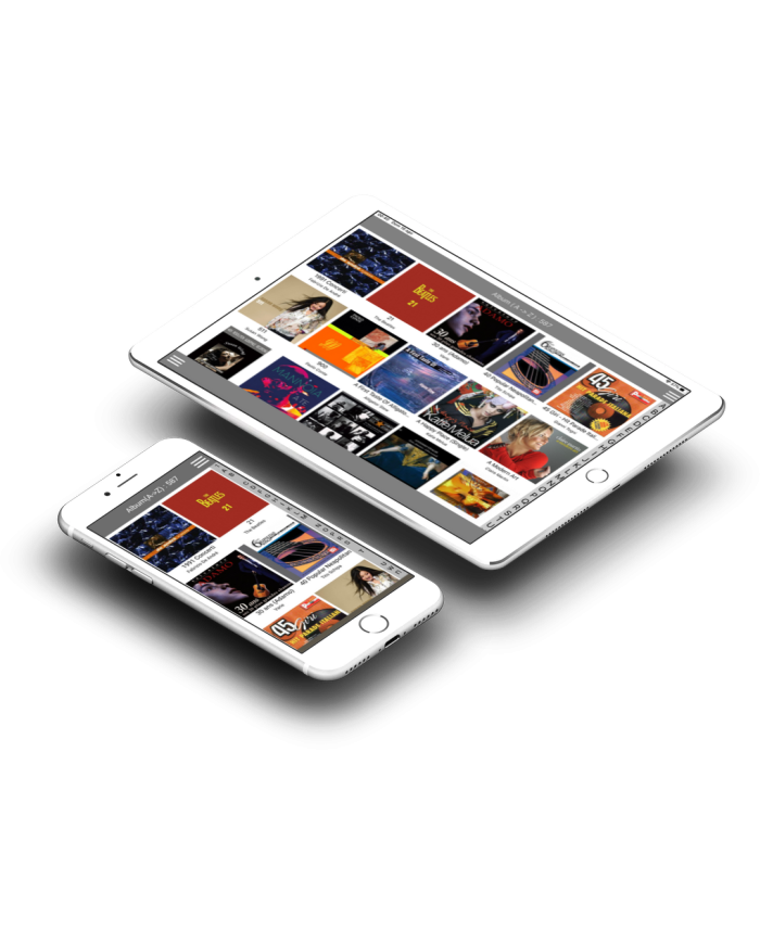 Network Player con Amplificatore 80 Watt  Cocktail Audio N25AMP  Nero