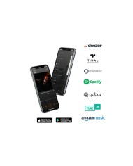 Diffusore di rete multiroom stereo  Triangle AIO 3  Nero