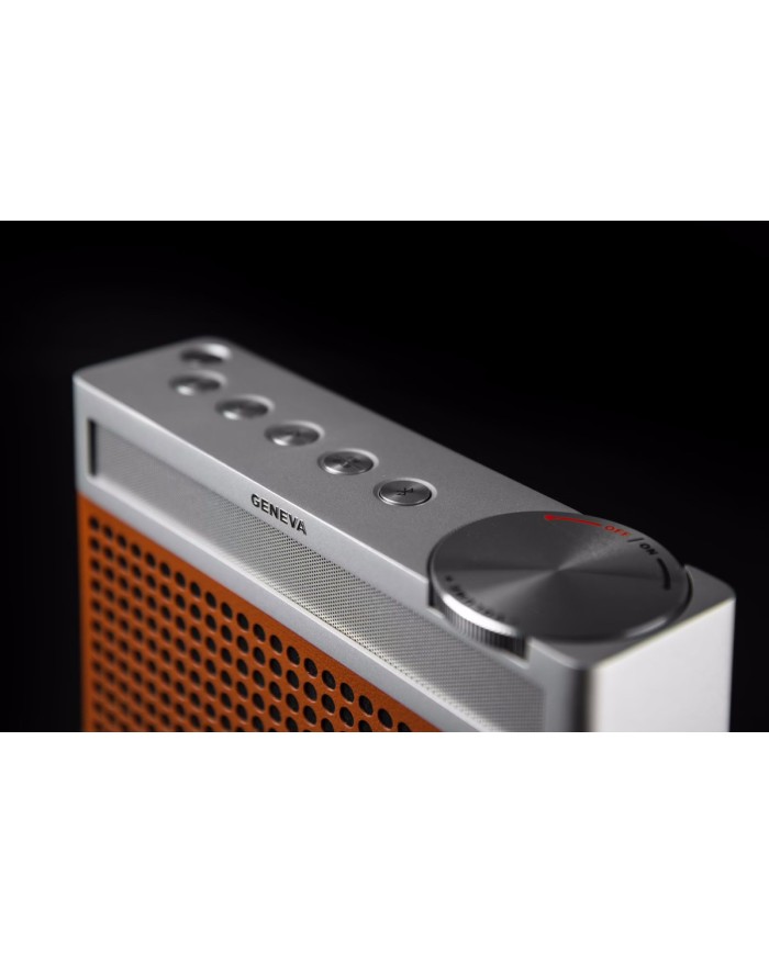 Radio FM  DAB+  Altoparlante Bluetooth  Geneva Touring/S+  Cognac