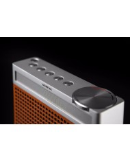 Radio FM  DAB+  Altoparlante Bluetooth  Geneva Touring/S+  Cognac