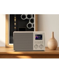 Altoparlante all in one Hi-Fi  Noce e Champagne  Geneva DeCon/S