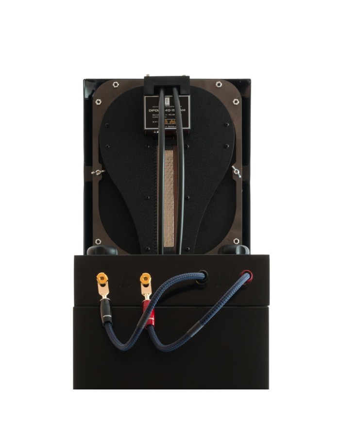 Coppia diffusori Tingsha Audio Conquistar Spirit  High Gloss Piano