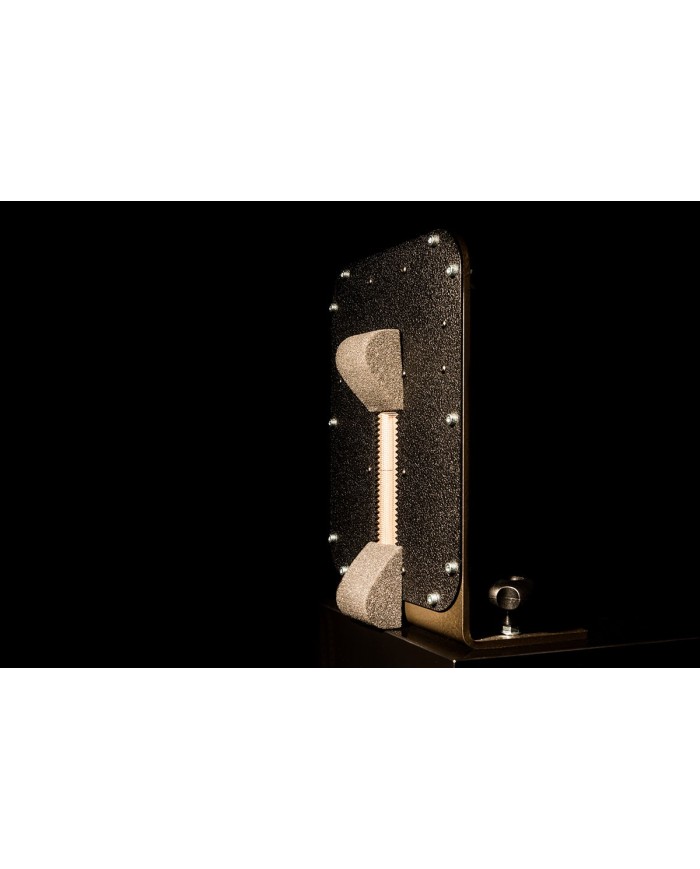 Coppia diffusori Tingsha Audio Conquistar Spirit  High Gloss Piano