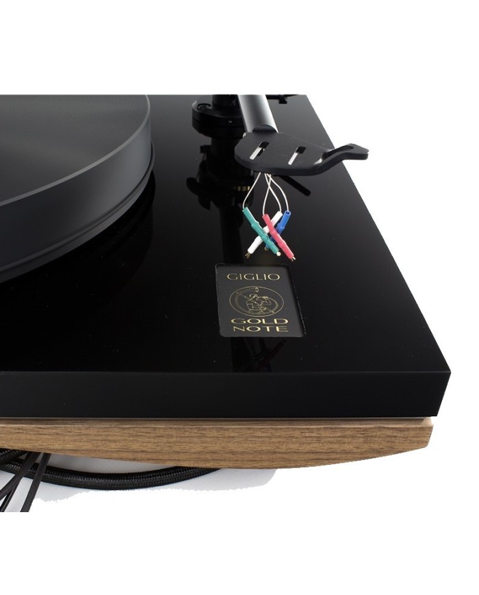 Giradischi con trazione a cinghia  Gold Note Giglio. Mobile in Noce