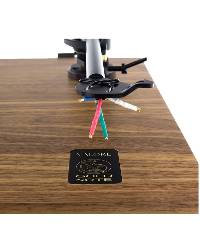 Giradischi trazione a cinghia  Gold Note Valore 425 Plus  Noce Italiano