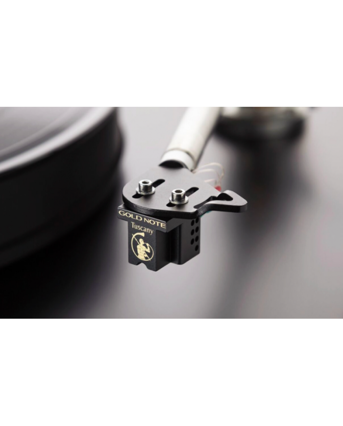 Testina phono MC a bassa uscita  Gold Note Tuscany Gold