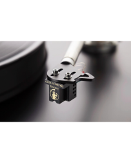 Testina phono MC a bassa uscita  Gold Note Tuscany Gold