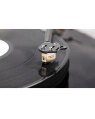 Testina phono MC a bassa uscita  Gold Note Donatello Gold