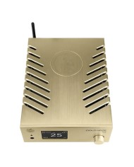 Convertitore D-A  Preampli  Ampli cuffie  Gold Note DS-10 PLUS  Gold