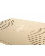 Preamplificatore di linea in Classe A  Gold Note P-1000 MKII  Gold