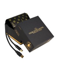 Cavo USB audio  A-B Design Bilanciato  Gold Note FIRENZE USB  1mt