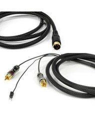 Cavo Phono DIN�RCA con placcatura dorata  Gold Note PHONO PLUS  1 5mt