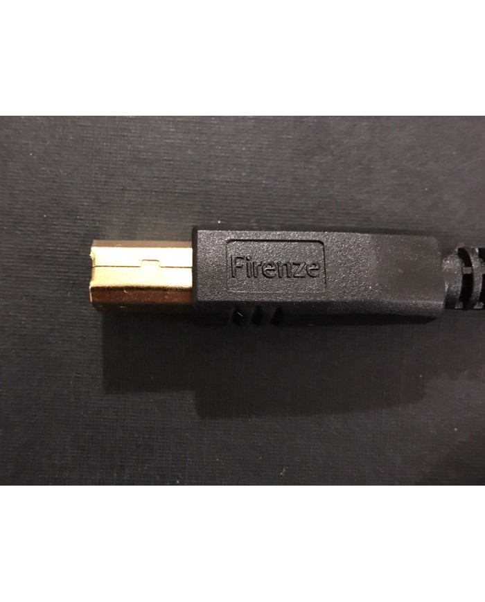 Cavo USB audio  A-B Design Bilanciato  Gold Note FIRENZE USB  1mt