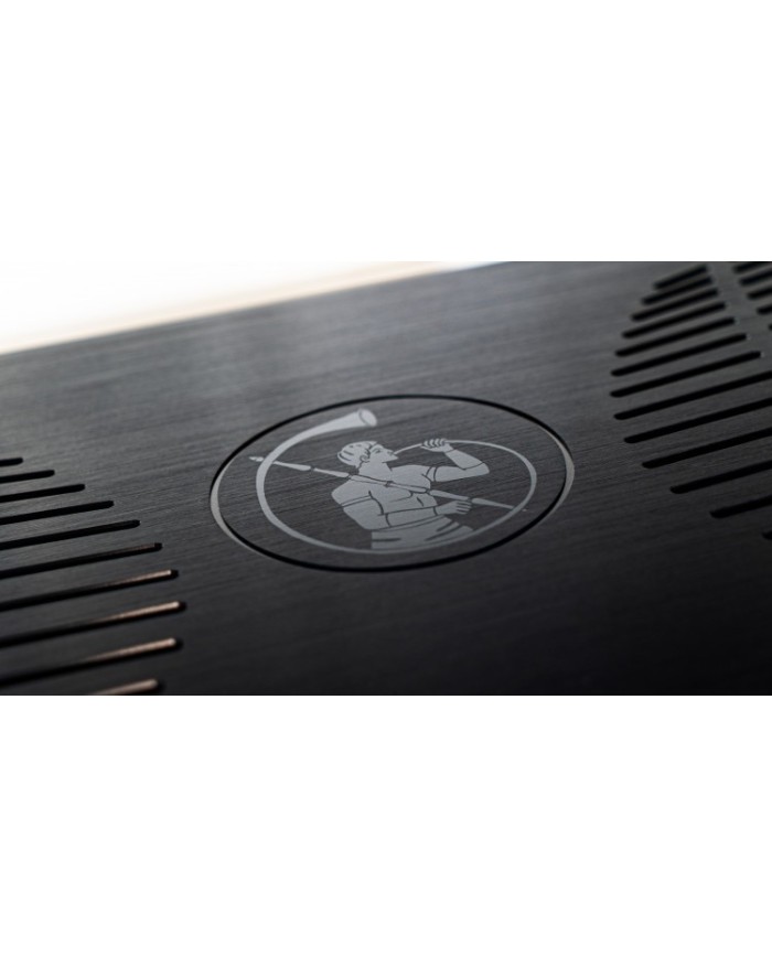 Preamplificatore phono MM-MC High-End  Gold Note PH-1000  Nero