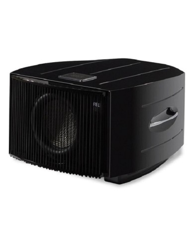 Subwoofer amplificato potenza 900W  Rel Acoustics No.31