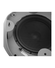 "Subwoofer da esterno passivo con Woofer 10""  Polk Audio Atrium Sub100"