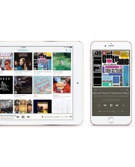 Streamer di rete con DAC interno  Auralic ALTAIR G1.1