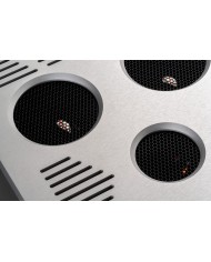 Finale di potenza mono a valvole in classe A  Canor Virtus M1  Silver