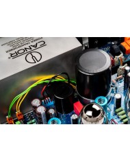 Finale di potenza mono a valvole in classe A  Canor Virtus M1  Silver