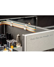 Preamplificatore Phono MM-MC a valvole bilanciato  Canor PH 1.10  Silver