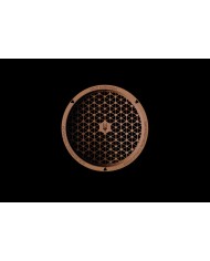 Meze Audio 109 Pro Cuffie circumaurali aperte con driver dinamico