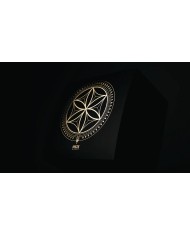 Cuffie In Ear con drive dinamico audiophile  Meze Audio ADVAR