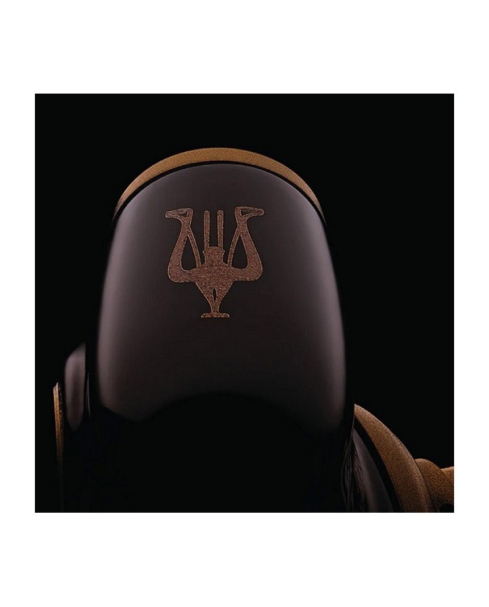 Cuffie In Ear con drive dinamico audiophile  Meze Audio ADVAR