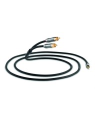 Cavo di interconnessione jack 3.5mm-RCA  QED PERFORMANCE AUDIO J2P