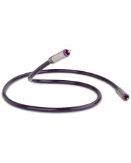 Cavo digitale coassiale 75 Ohm  QED REFERENCE DIGITAL AUDIO 40